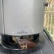 Panel Ray Heater